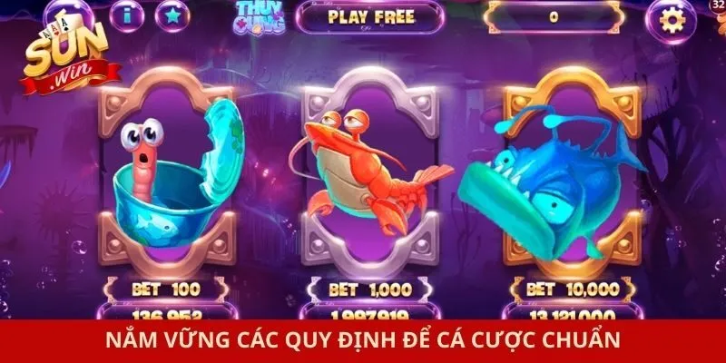 Nắm vững các quy định để cá cược chuẩn